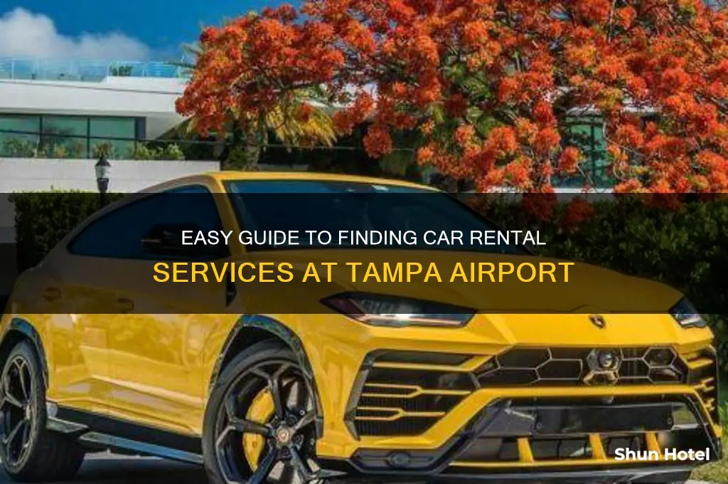 how to get to car rental tampa airport