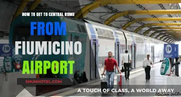 Quick Guide: Fiumicino Airport to Central Rome Transport Options