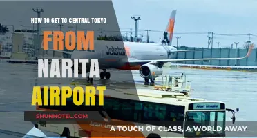 Easiest Ways to Reach Central Tokyo from Narita Airport