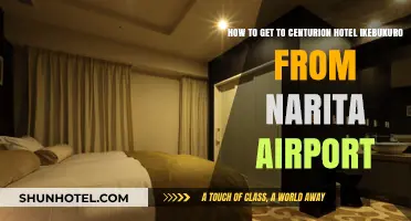 Travel Guide: Narita Airport to Centurion Hotel Ikebukuro Route