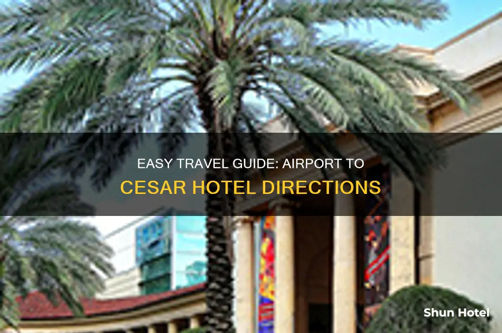 how to get to cesar hotel from airport