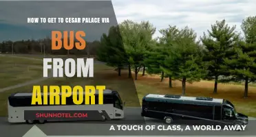 Easy Bus Route: Airport to Caesars Palace Travel Guide