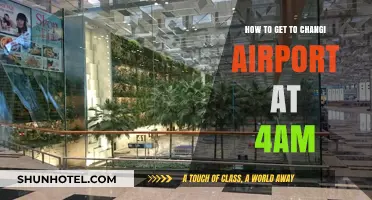 Early Morning Travel Guide: Reaching Changi Airport by 4 AM