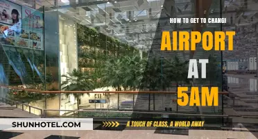 Early Morning Travel Guide: Reaching Changi Airport by 5 AM