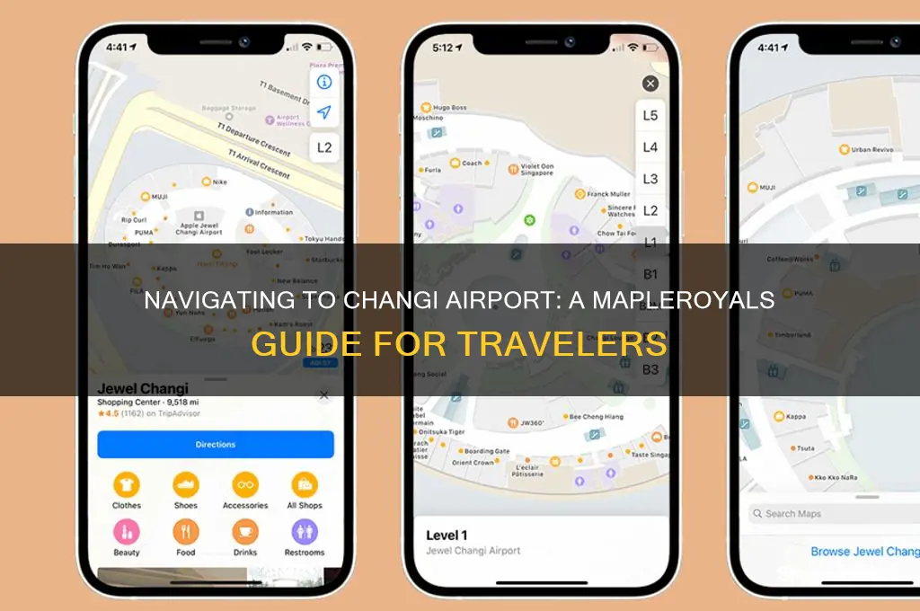 how to get to changi airport mapleroyals