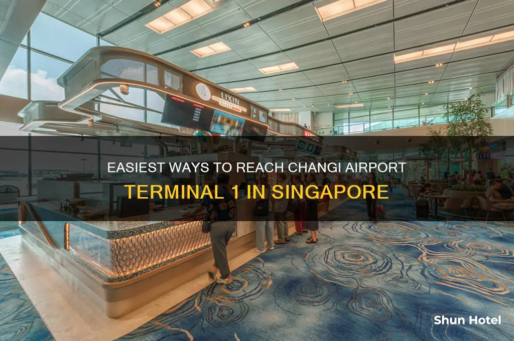 how to get to changi airport terminal 1
