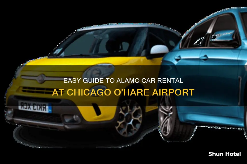 how to get to chicago o