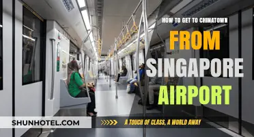 Easy Transit: Singapore Airport to Chinatown Travel Guide