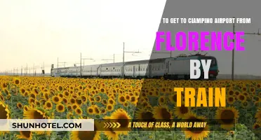 Traveling from Florence to Ciampino Airport: A Train Journey Guide