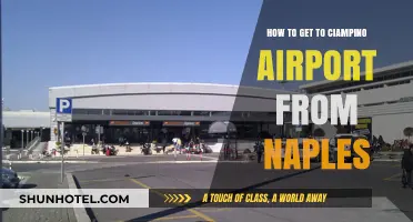 Traveling from Naples to Ciampino Airport: Easy Transport Tips