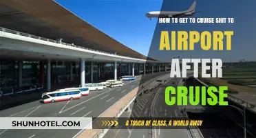 Seamless Post-Cruise Travel: Getting from Ship to Airport Effortlessly