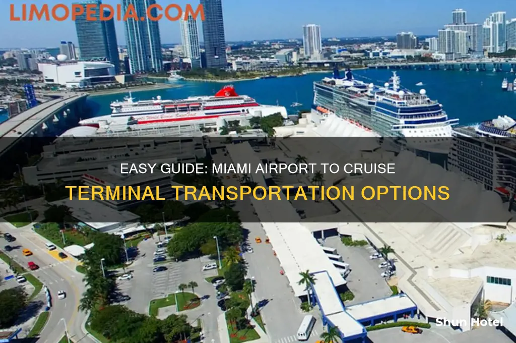 how to get to cruise terminal miami from airport