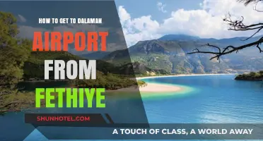 Traveling from Fethiye to Dalaman Airport: Easy Transport Options