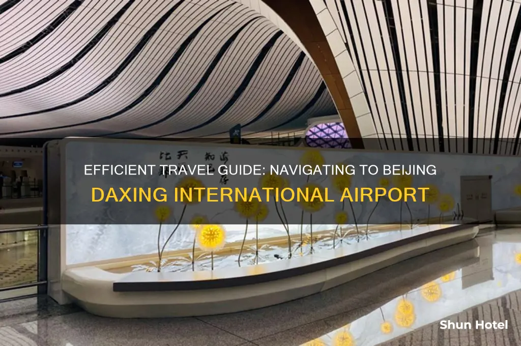 how to get to daxing airport