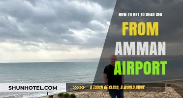 Travel Guide: Amman Airport to Dead Sea – Easy Route Tips