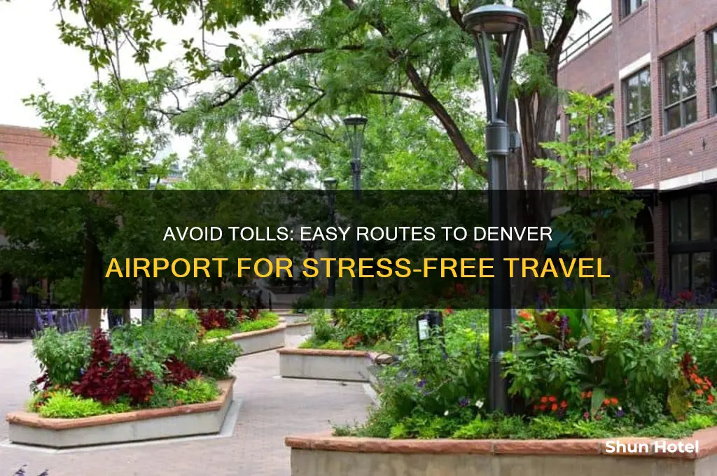 how to get to denver airport without tolls