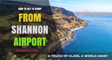 Travel Guide: Shannon Airport to Derry - Easy Route Tips