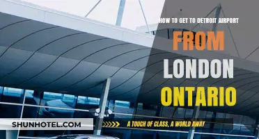 Traveling from London, Ontario to Detroit Airport: A Comprehensive Guide
