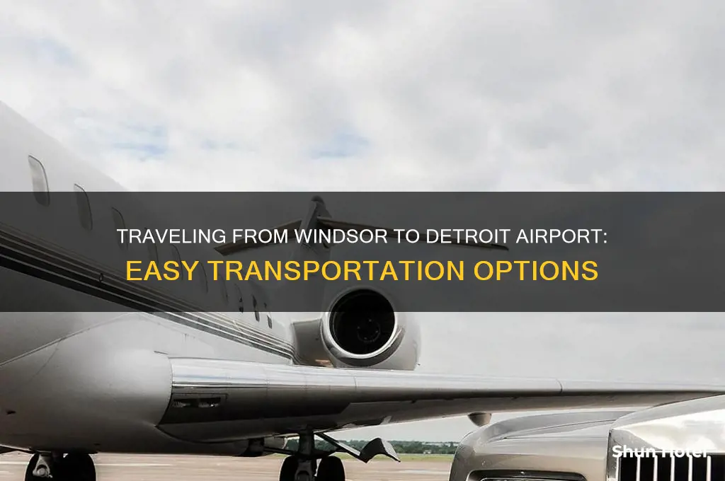 how to get to detroit airport from windsor