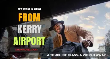 Travel Guide: Kerry Airport to Dingle – Easy Transport Tips