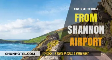 Travel Guide: Shannon Airport to Dingle, Ireland - Easy Route Tips