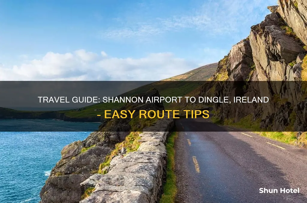 how to get to dingle from shannon airport