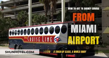 Miami Airport to Disney Cruise: Your Seamless Transfer Guide