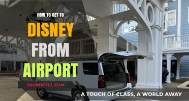 From Runway to Magic: Your Ultimate Guide to Disney Airport Transfers