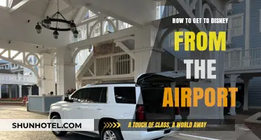 From Runway to Magic: Your Guide to Disney Airport Transfers