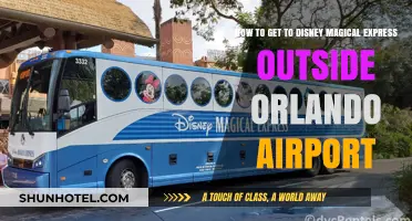 Navigating Disney's Magical Express: Orlando Airport Arrival Guide