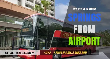 Traveling to Disney Springs: Easy Airport to Magic Shuttle Guide