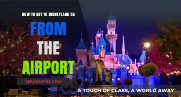 From LAX to Disneyland: Your Ultimate Airport to Magic Guide