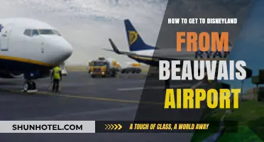 Traveling to Disneyland Paris: Easy Beauvais Airport Transfer Guide