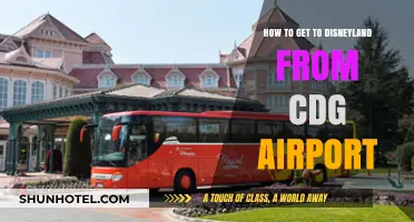 Traveling to Disneyland Paris: Easy CDG Airport Transfer Guide