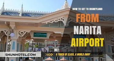 Travel Guide: Narita Airport to Disneyland Tokyo – Easy Route Tips