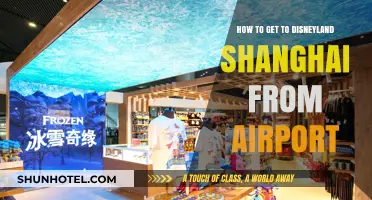 Travel Guide: Reaching Disneyland Shanghai from the Airport Easily