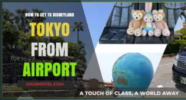 Traveling to Tokyo Disneyland: Easy Airport to Park Guide