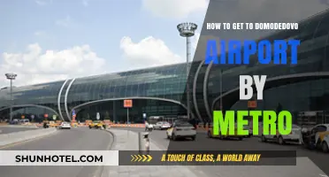 Quick Metro Guide: Reach Domodedovo Airport Easily from Moscow