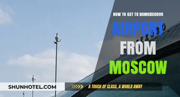 Easiest Ways to Reach Domodedovo Airport from Moscow Hassle-Free