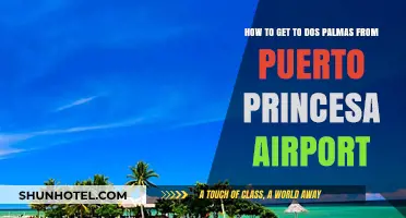 Travel Guide: Puerto Princesa Airport to Dos Palmas Island Transfer
