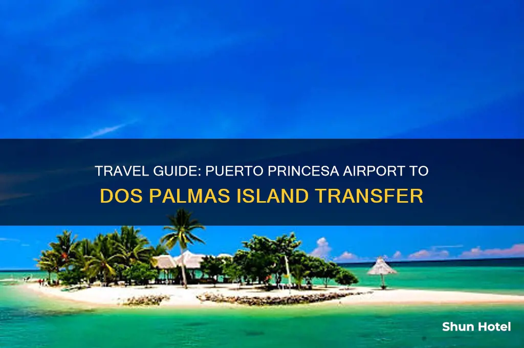 how to get to dos palmas from puerto princesa airport