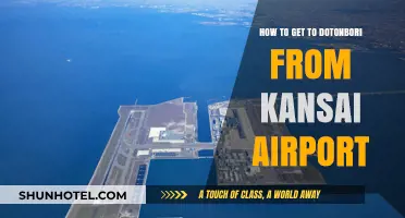 Travel Guide: Kansai Airport to Dotonbori - Easy Transportation Tips