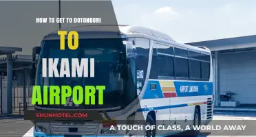Travel Guide: Dotonbori to Itami Airport – Easy Transport Tips