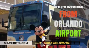 Orlando Airport to Downtown Disney: Quick & Easy Transportation Guide