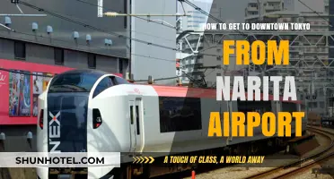 Easiest Ways to Reach Downtown Tokyo from Narita Airport