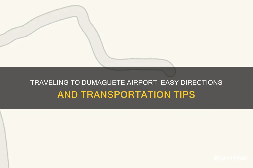 how to get to dumaguete airport