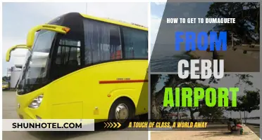 Travel Guide: Cebu Airport to Dumaguete City Transportation Options