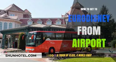 Traveling to EuroDisney: Easy Airport to Park Transportation Guide
