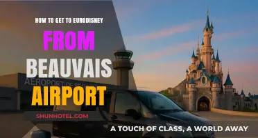 Travel Guide: Beauvais Airport to Eurodisney – Easy Transport Tips