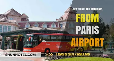 Traveling to Eurodisney: Easy Paris Airport to Park Guide